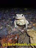 /home//u458753944/public_html/sourcegallery//McKaig Nature Center/2020-09-27/P9270702.JPG